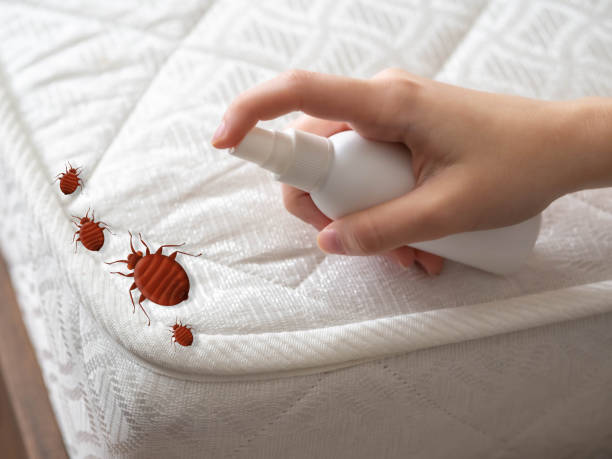 Pest Control for Hotels in Franklin, NH